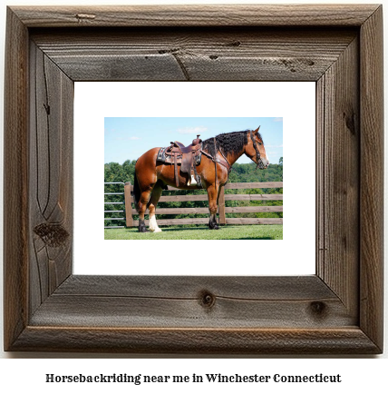 horseback riding near me in Winchester, Connecticut